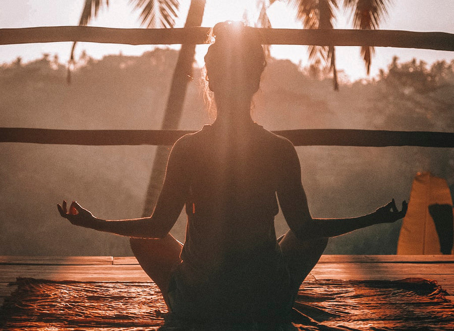 How to Improve Mental Health, Reduce Disease Risk, and Optimize Immune Function