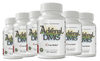 Adrenal DMG - EstroBlock